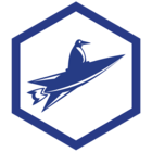 Blue Penguin riding a blue rocket inside of an octagon